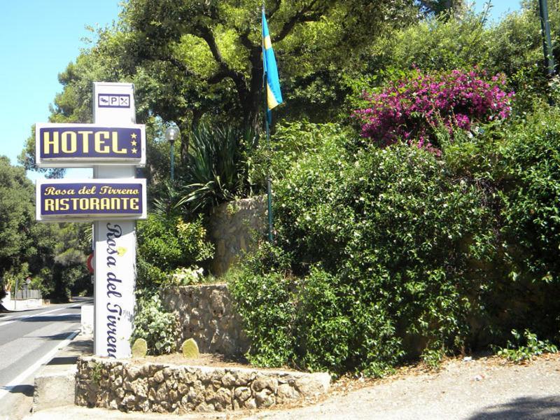 Hotel Rosa Del Tirreno 3*