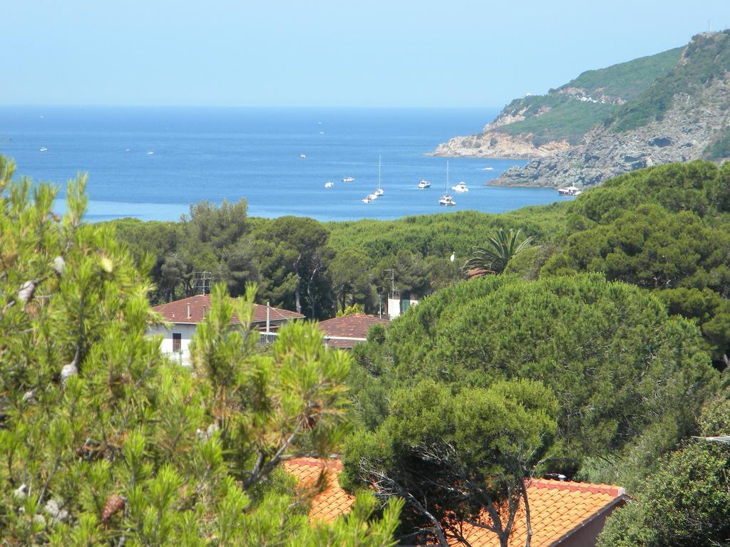 Rosa Del Tirreno Hotel Quercianella
